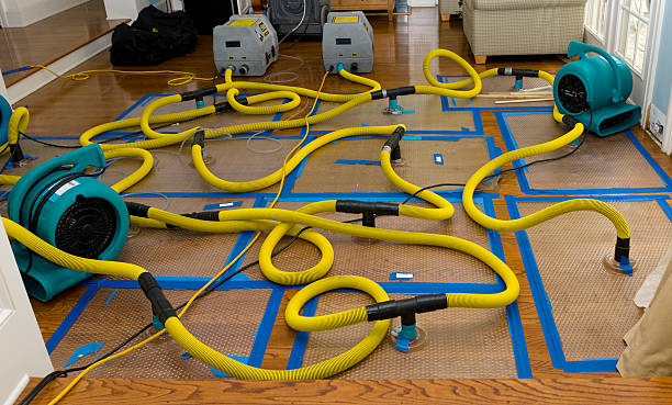 Professional Emergency Water Removal technician working in West Nottingham, NH
